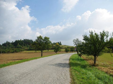 Foto 50